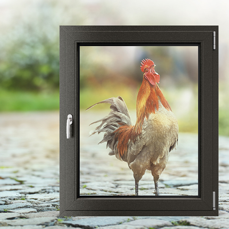 WERU Knaller-Fenster-Aktion